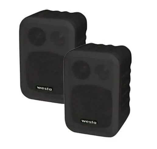 WM-305TB WESTA İKİLİ 100W HOPARLÖR